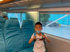 -龙阳路磁悬浮列车总站-停车场