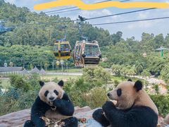 -广州长隆旅游度假区