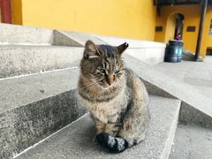 -西园戒幢律寺