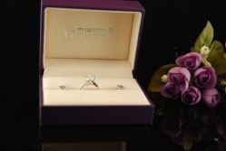 钻钻-威德钻石-克拉钻大本营(南京东路店)