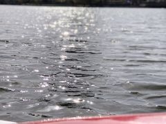 -莱西月湖公园