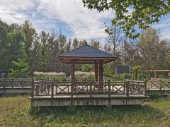 -野鸭湖国家湿地公园