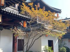 -香积寺