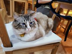 -白兔子密室(长寿路店)