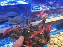 -奢谷·海鲜自助(南海万科店)