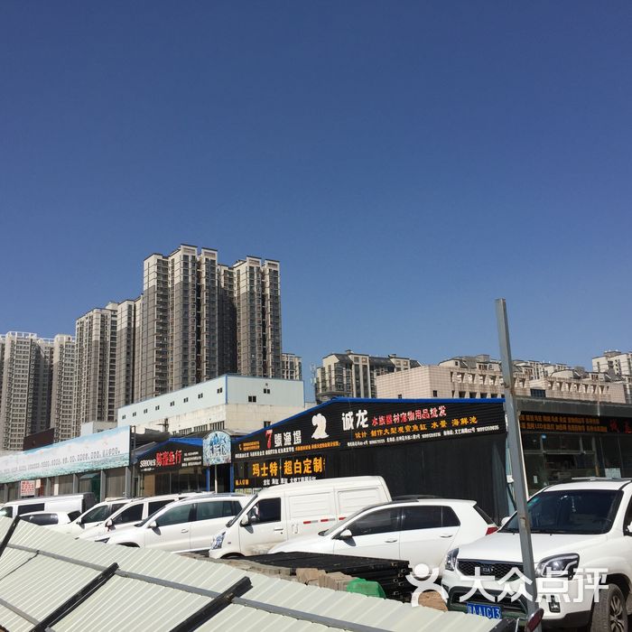 明光路花卉市场