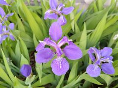 -汉长安城未央宫国家考古遗址公园