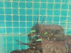 -南戴河旅游度假区