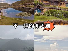 -仰天湖大草原