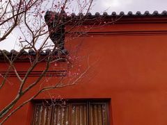 -广富林郊野公园
