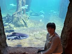 -华夏文旅海洋公园