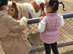 -长白岛森林公园