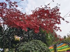 -太白山御龙湾温泉