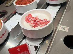 -龍歌自助小火锅(雨花台江南虹悦城店)