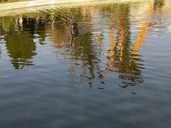 -蓬莱欧乐堡梦幻世界