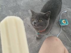 -诺德健游泳健身