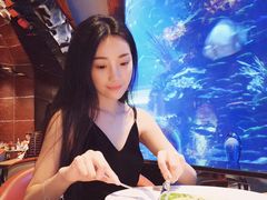 -迪拜帆船酒店海底餐厅