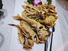 -老山东·山东菜(鲁菜名店)