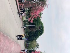 -风云岭森林公园