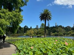 -墨尔本皇家植物园