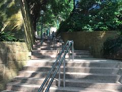 -九龙公园