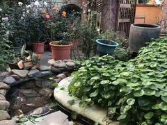 -园林美食城·本土农家菜(杨和镇店)