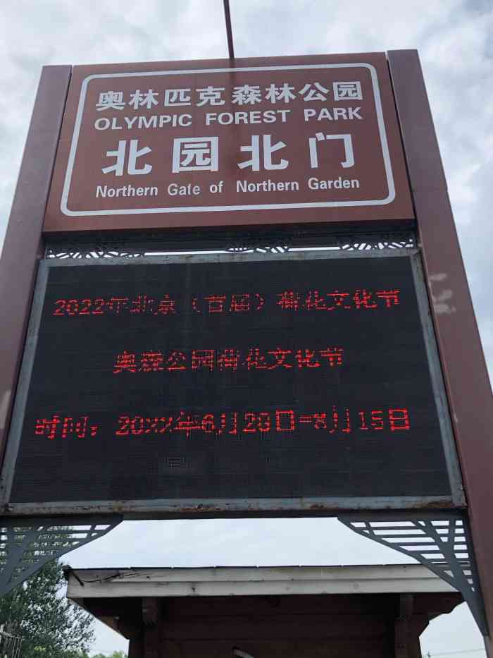 奥林匹克森林公园-"补 2020初夏奥森南园闲趣作业翻手机.