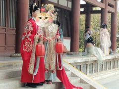 -西安青龙寺遗址景区