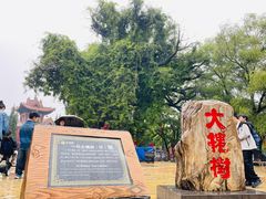 -大槐树寻根祭祖园