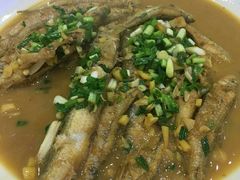 -全乐鱼馆·淳牌有机鱼直营店