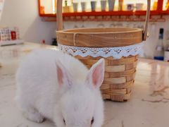 -大象厨房(重庆道店)