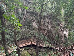 -大岭沟猕猴桃谷风景区
