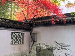 -秋霞圃