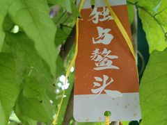 -莲池书院博物馆