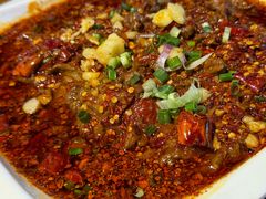 -柴窝堡22号辣子鸡·传承新疆菜