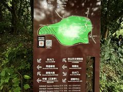 -上海佘山国家森林公园西佘山园