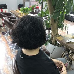 -镁连社·美联社