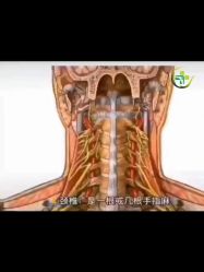 -姜美堂·蒸姜除湿の纤体美颜馆