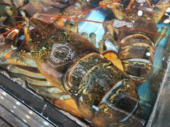 -79号渔船海鲜饭店(宝安店)