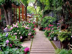 -谷咖啡·鲜花绿植花园餐厅