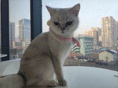 -怪兽屋·羊驼·猫咖·狗咖(俊华广场店)