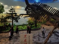 -嘉荫恐龙国家地质公园