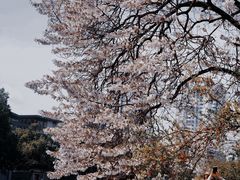 -红星桥(地铁站)