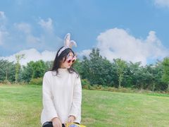 -白鹭湾湿地公园