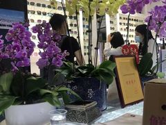 -横岗眼镜城
