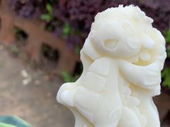 -杭州野生动物世界