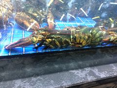 -徐记海鲜(观沙岭|滨江新城店)
