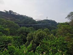 -金鸡山公园