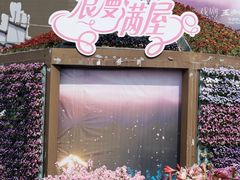 -荷兰花海