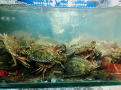 -老东镇啤酒屋海鲜加工·蒸汽海鲜·海鲜烧烤(台东店)